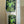Glow Worm Hazmat Sticker