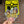 Chucky Truckie Sticker