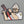 The Big Lebowski Walter Sticker