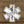 Do No Harm Star of Life Sticker