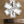 Do No Harm Star of Life Sticker